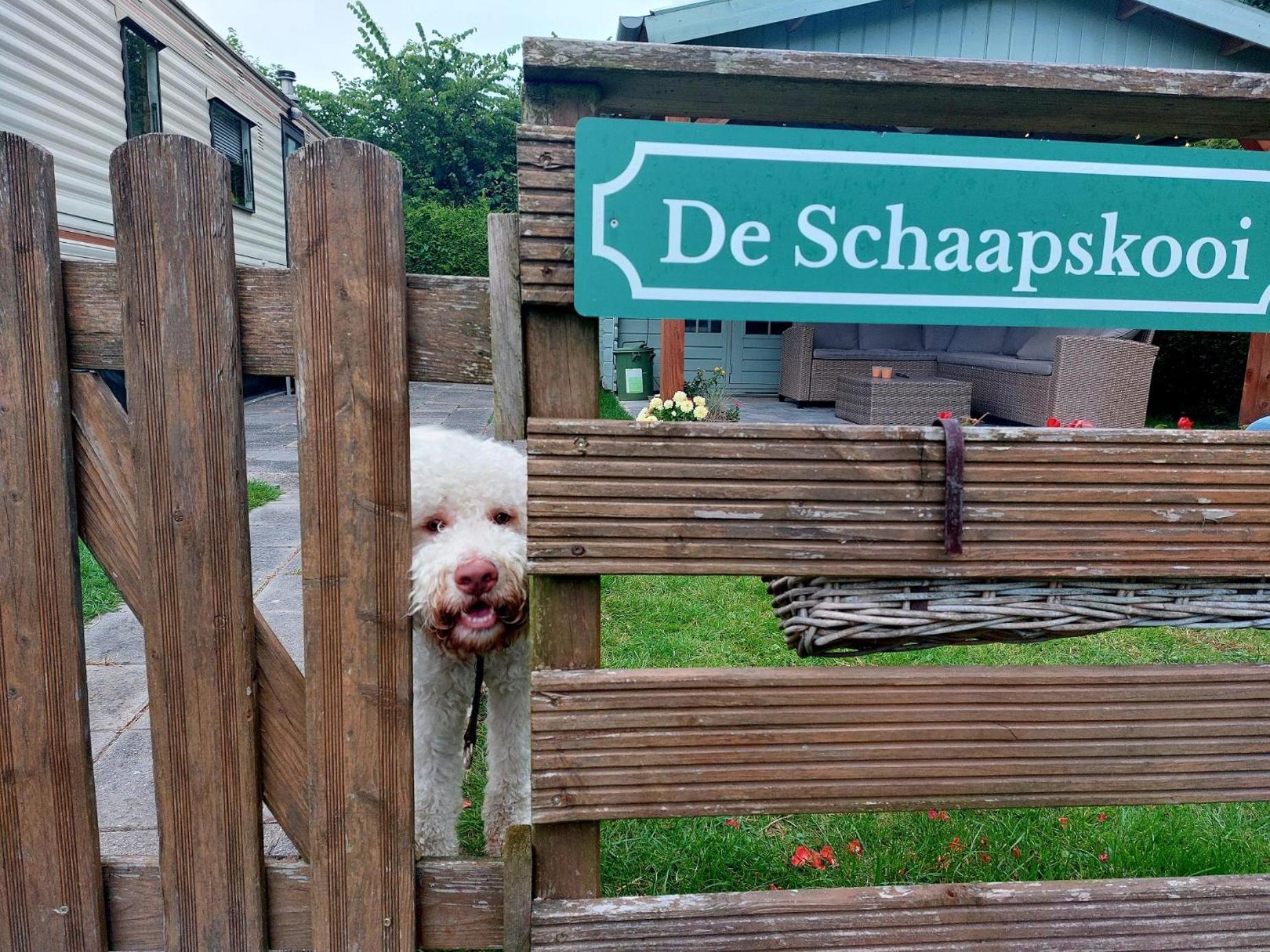 Familychalet De Schaapskooi, 6-Persons, Big Private Garden, Dogs Aloud Westergeest Dış mekan fotoğraf
